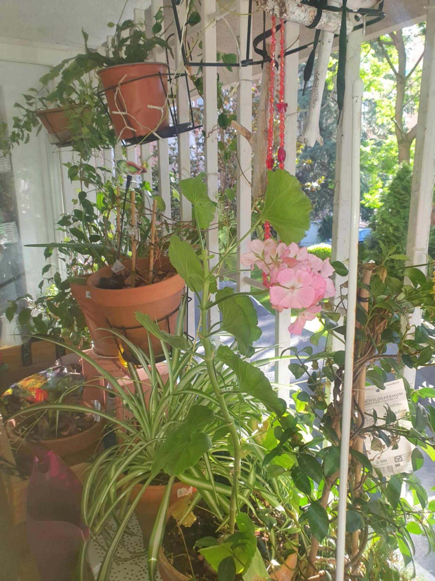 Libros Y Plantas A 5 Minutos Del Centro En Bus Διαμέρισμα Μαδρίτη Εξωτερικό φωτογραφία
